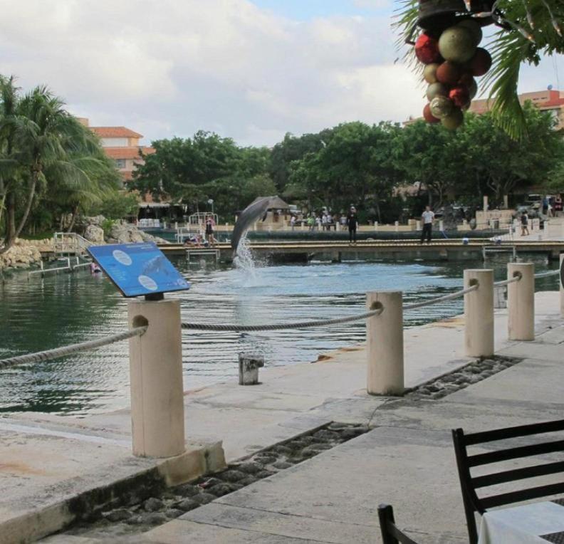 Puerto Aventuras, Departamento A Unos Pasos De La Playa Apartment ภายนอก รูปภาพ