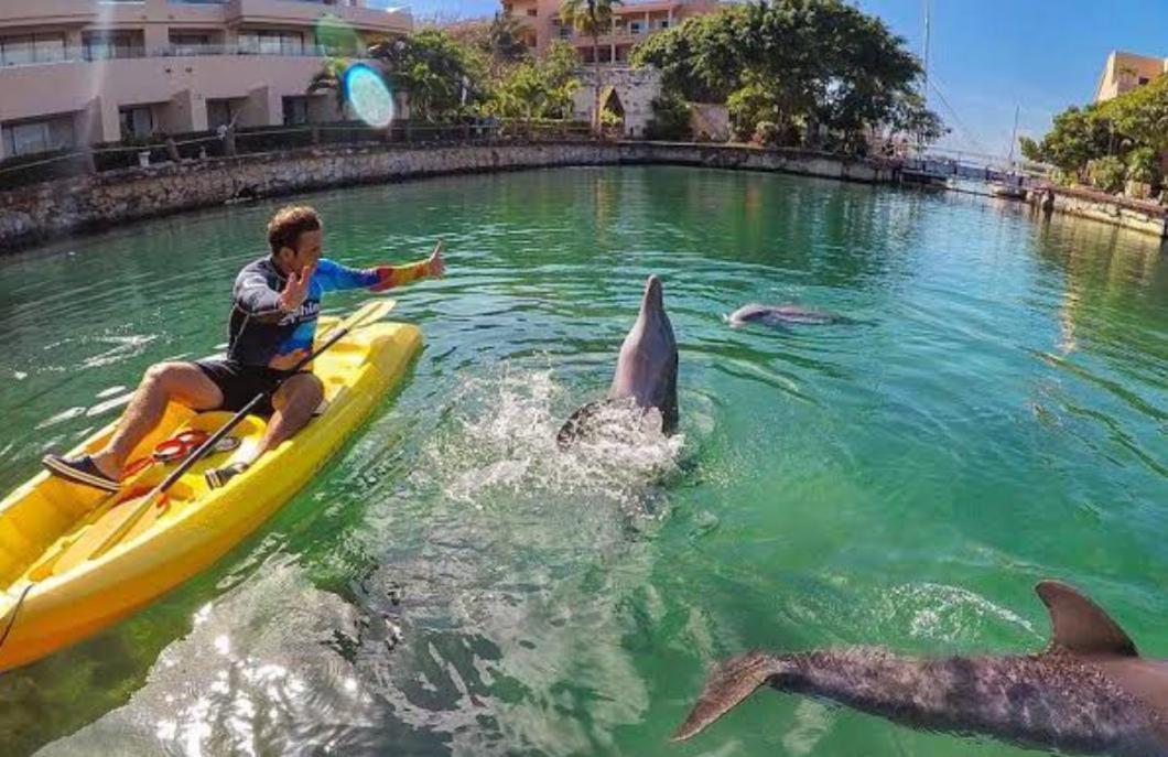 Puerto Aventuras, Departamento A Unos Pasos De La Playa Apartment ภายนอก รูปภาพ
